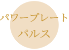 パワープレートパルス